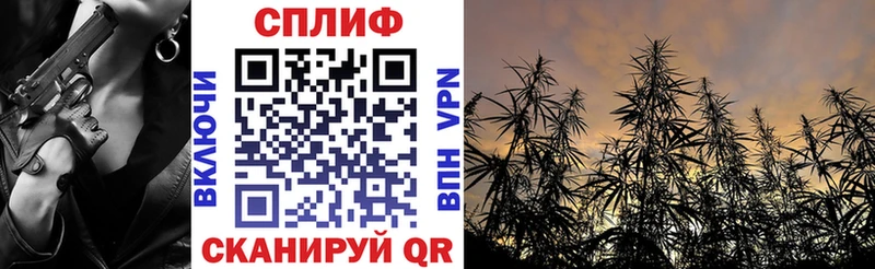 МАРИХУАНА Amnesia  купить закладку  OMG зеркало  Чудово 